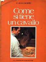 Come si tiene un cavallo