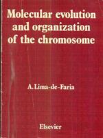 Molecular Evolution and Organization of the Chromosome