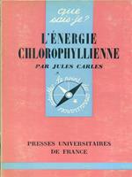 L' energie chlorophyllienne