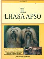 Il  lhasa apso