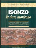 Isonzo. Là dove morirono sul fronte più cruento della grande guerra