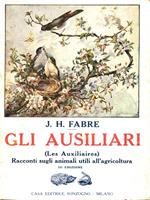 Gli ausiliari