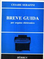 Breve guida per organo elettronico