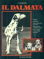 Il Dalmata