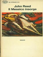 Il Messico insorge