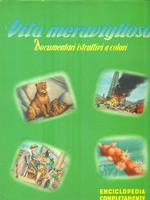 Vita Meravigliosa. Volume II