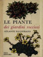 Le piante dei giardini rocciosi