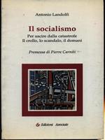 Il socialismo. Per uscire dalla catastrofe. Il crollo, lo scandalo, il domani