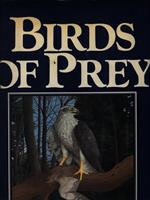 Birds of Prey