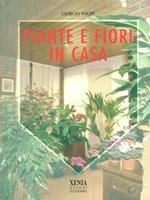 Piante e fiori in casa