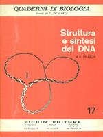 Struttura e sintesi del DNA