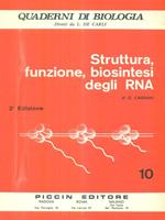 Struttura, funzione, biosintesi degli RNA