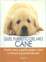 Quel furbetto del mio cane