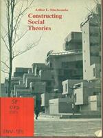 Constructing Social Theories