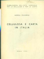 Cellulosa e carta