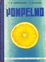 Il  pompelmo