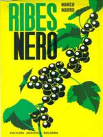 Ribes nero