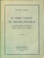 Il vero volto di Michelangelo