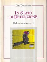 In stato di detenzione. Vademecum carcere