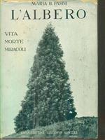 L' albero