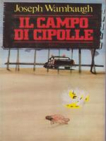 Il campo di cipolle