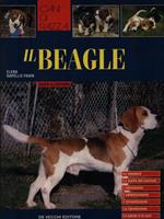 Il Beagle