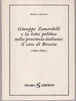 Giuseppe Zanardelli e la lotta politica nella provincia italiana: il caso di Brescia