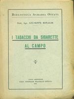 I  tabacchi da sigarelle al campo