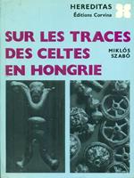 Sur les traces des celtes en hongrie