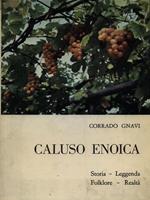 Caluso enoica