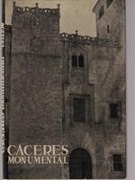 Caceres monumental