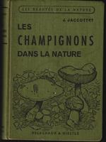 Les champignons dans la nature