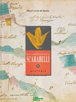 La collezione Scarabelli I Geologia