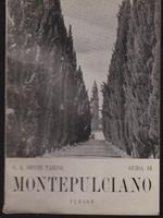 Guida di Montepulciano