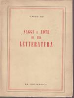 Saggi e note di una letteratura