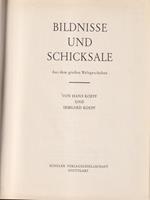 Bildnisse und schicksale