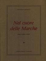   Nel cuore delle Marche