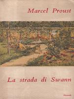 La strada di Swann