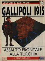 Eserciti e battaglie 13. Gallipoli 1915