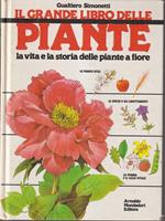   Piante