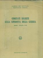 Comitati segreti sulla condotta della guerra (giugno - dicembre 1917)