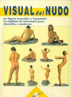 Visual del nudo 4