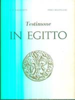 Testimone in Egitto