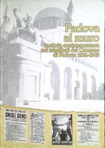 Padova al muro