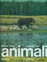 Il mondo degli animali