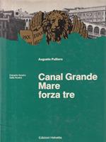 Canal Grande Mare forza tre