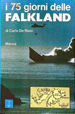 I 75 giorni delle Falkland