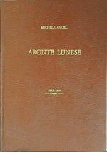 Aronte lunese