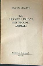 La  grande lezioni dei piccoli animali