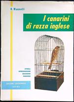 I canarini di razza inglese